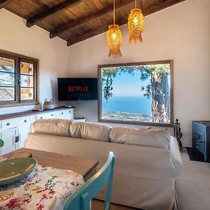 https://el-pino-centenario-4.in-canary-islands.com